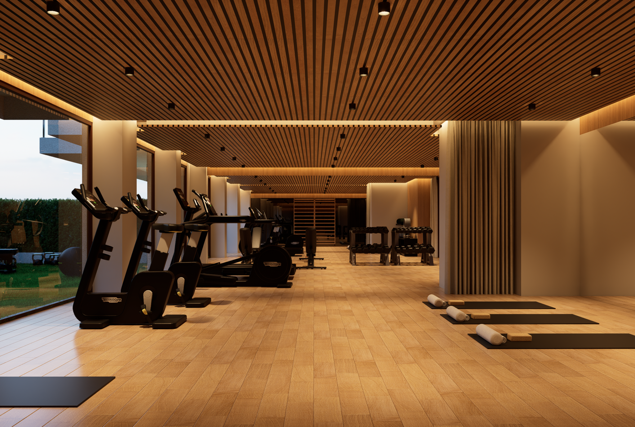 Gimnasio (1)